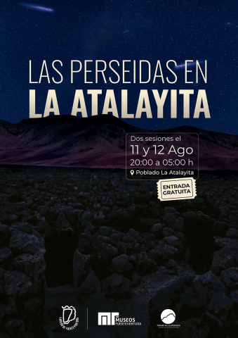 WEB-Cartel-las-perseidas