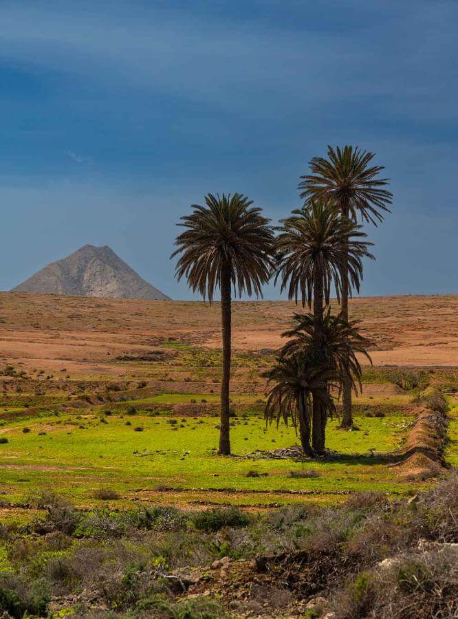 Montaña de Tindaya